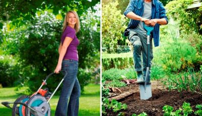 Ogródek warzywny: jak założyć warzywniak w ogrodzie?